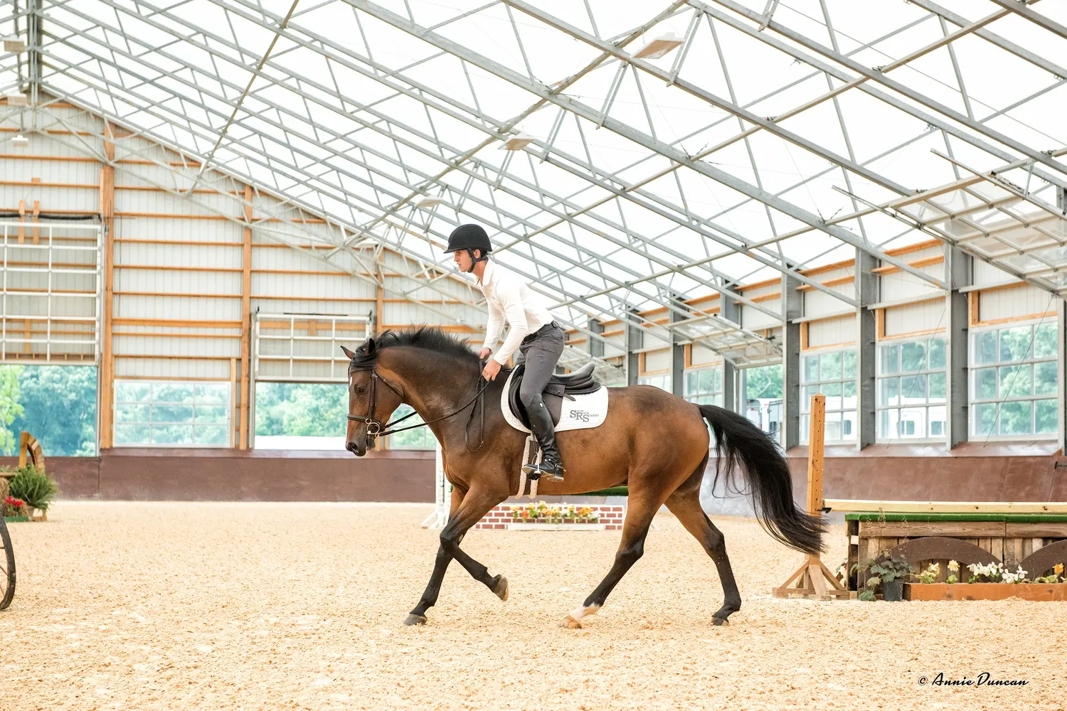 Horse and rider training inside a covered webbed membrane arena featured on the official projects page