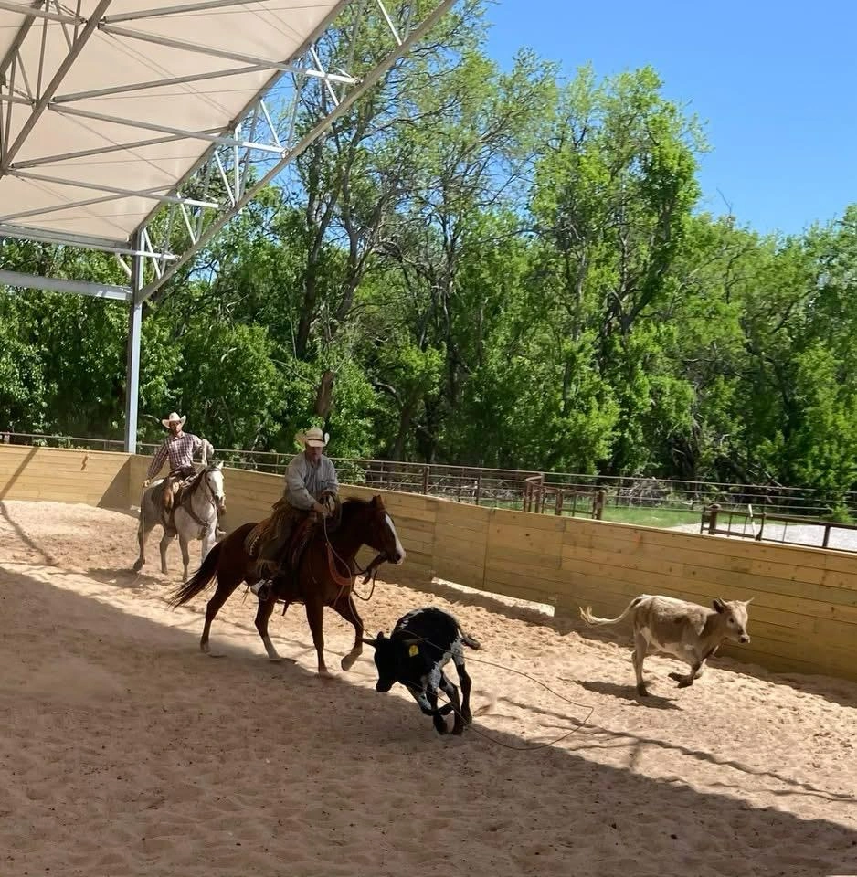 Western Riding Disciplines | Specialized Performance Arenas
